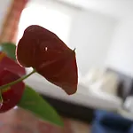 Hotel Pesentheinerhof 3*