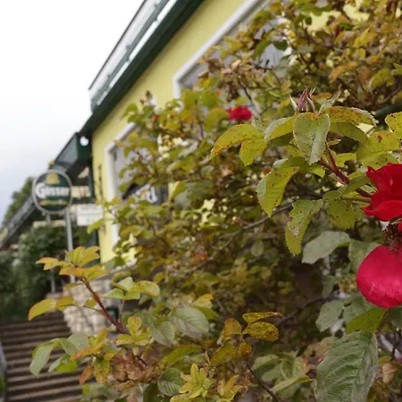 Pesentheinerhof