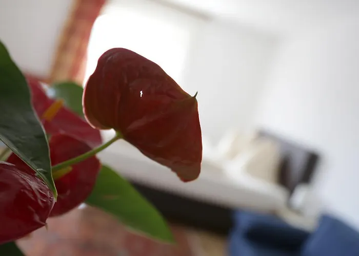 Hotel Pesentheinerhof 3*